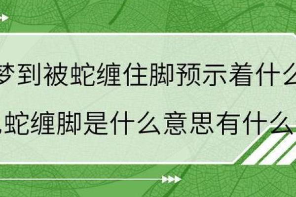 晚上梦见蛇的含义与心理解析，预示着什么？