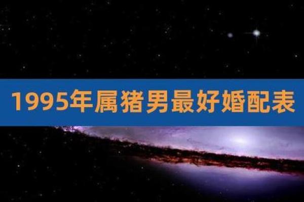 1995年出生的人属什么生肖及其性格特点解析